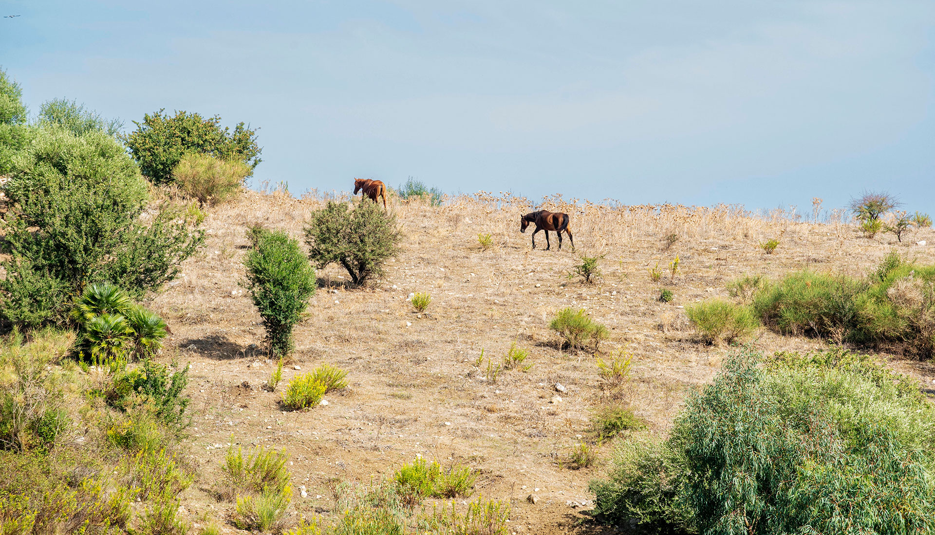 il progetto - Fattoria Sant'Onofrio - Terre al Topp