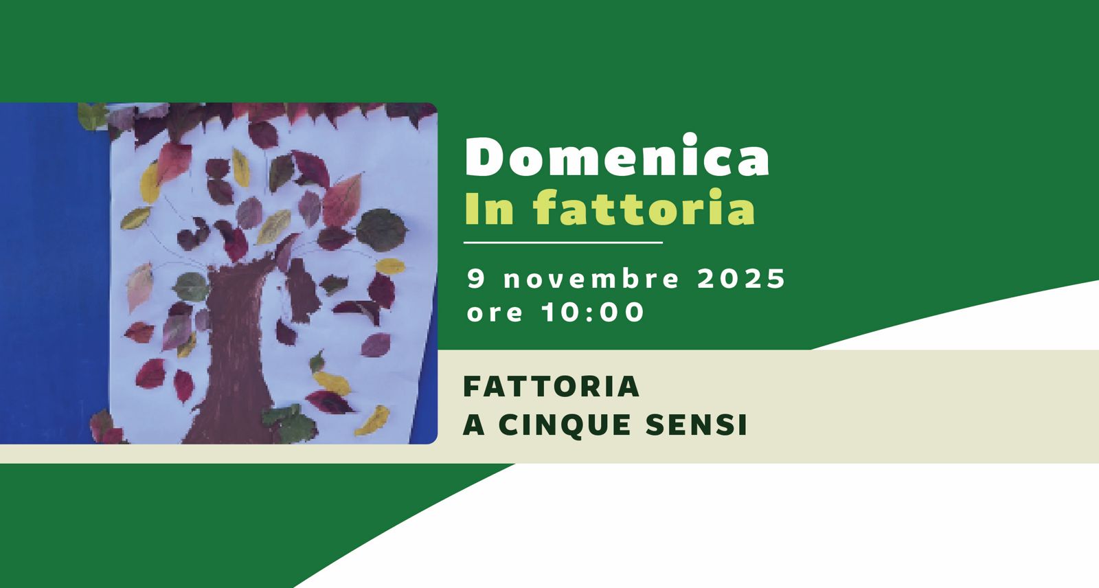 fattoria a cinque sensi