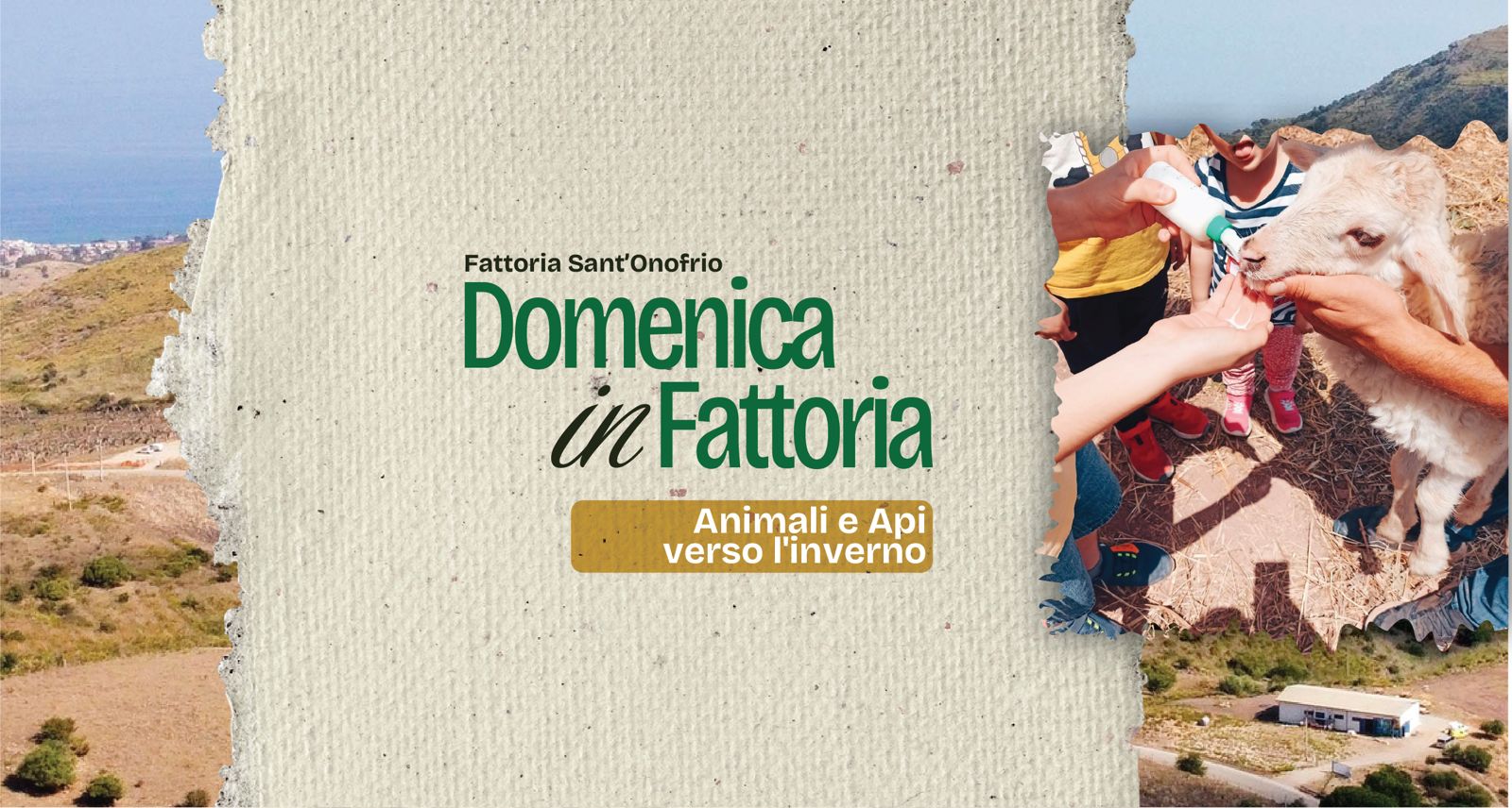 animali in fattoria