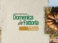 domenica in fattoria halloween